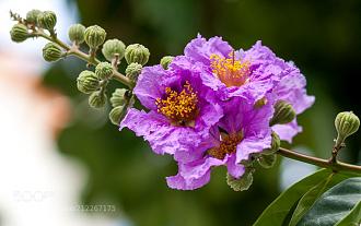 Click image for larger version  Name:	Hinh 1 (30).jpg Views:	0 Size:	131.1 KB ID:	18572