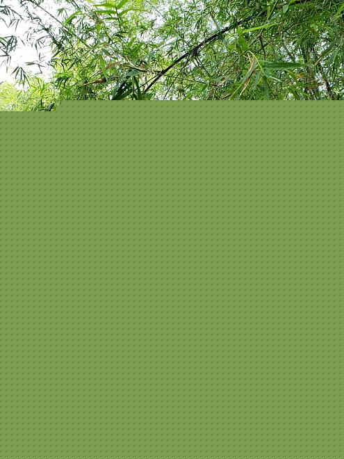 Click image for larger version  Name:	20200316_091509.jpg Views:	0 Size:	535.1 KB ID:	19751