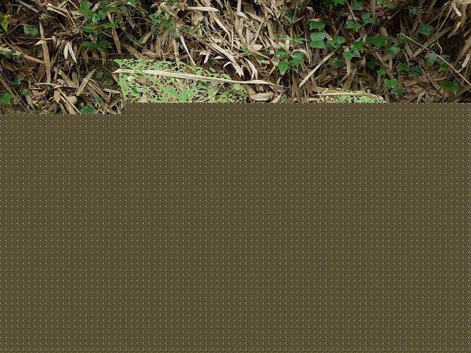 Click image for larger version  Name:	20200316_090115.jpg Views:	0 Size:	574.6 KB ID:	19752