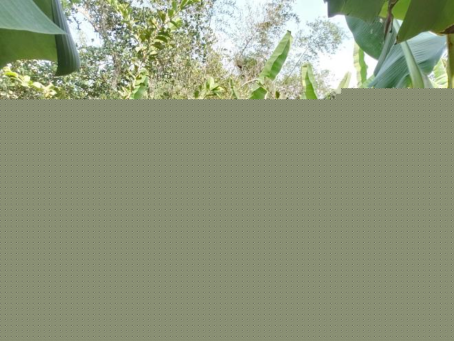 Click image for larger version  Name:	20200316_153210.jpg Views:	0 Size:	415.1 KB ID:	19762