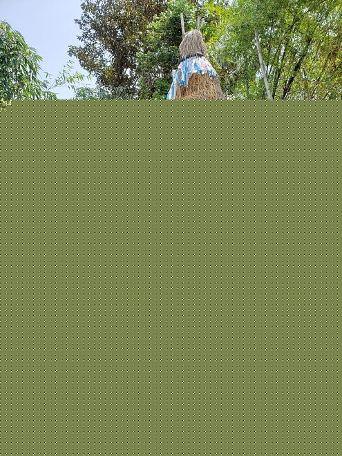 Click image for larger version  Name:	20200316_105832.jpg Views:	0 Size:	442.2 KB ID:	19764
