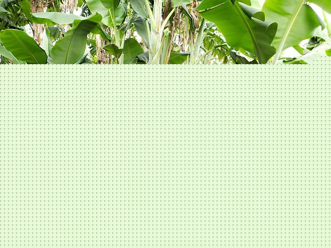 Click image for larger version  Name:	20200316_085241.jpg Views:	0 Size:	482.8 KB ID:	19767