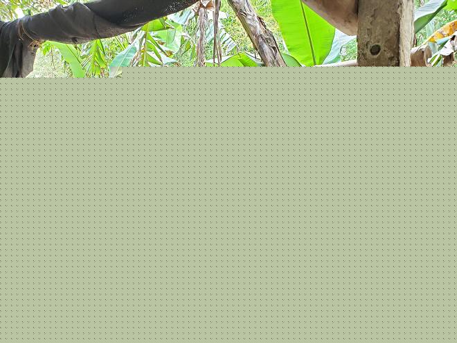 Click image for larger version  Name:	20200316_084850.jpg Views:	0 Size:	340.5 KB ID:	19785