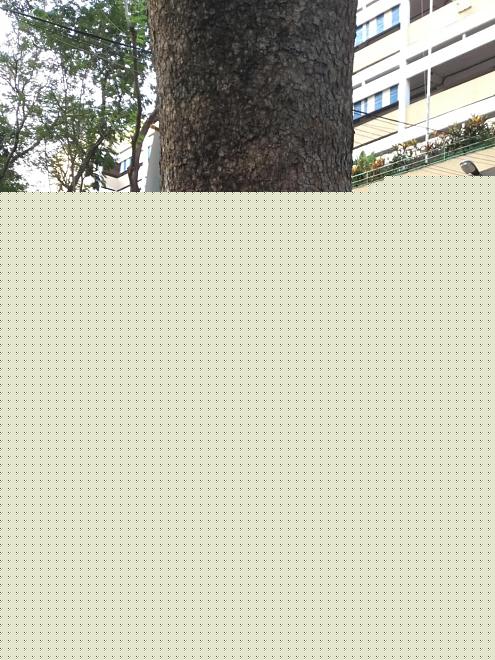 Click image for larger version

Name:	A69C472E-9B7D-479C-9FFD-B37DD901CDB2.jpeg
Views:	183
Size:	277.9 KB
ID:	20205