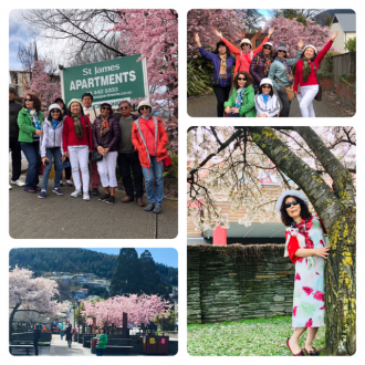 Click image for larger version  Name:	IMG_1377.PNG Views:	6 Size:	872.2 KB ID:	21201