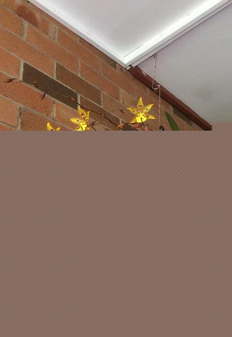 Click image for larger version  Name:	3B471259-9DEC-4454-83FB-C0F87025DB7C.jpeg Views:	0 Size:	174.2 KB ID:	22135