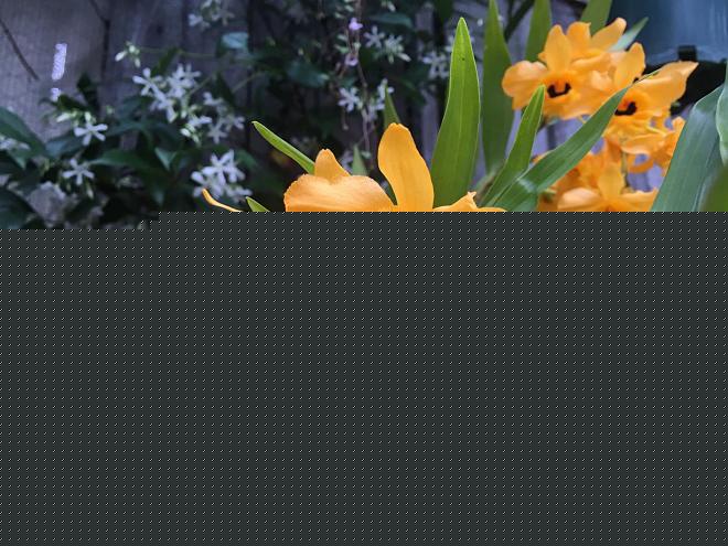 Click image for larger version  Name:	BB19D108-FFB7-4906-892A-76BCF1F6F57F.jpeg Views:	0 Size:	234.7 KB ID:	22169