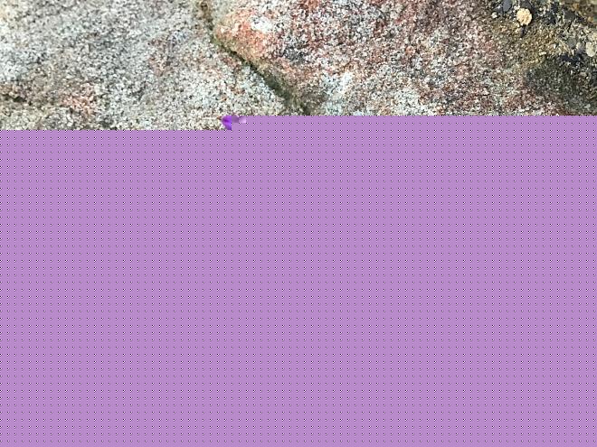 Click image for larger version  Name:	42F20873-7450-48BD-8F94-41CDCD951B71.jpeg Views:	0 Size:	599.7 KB ID:	22384