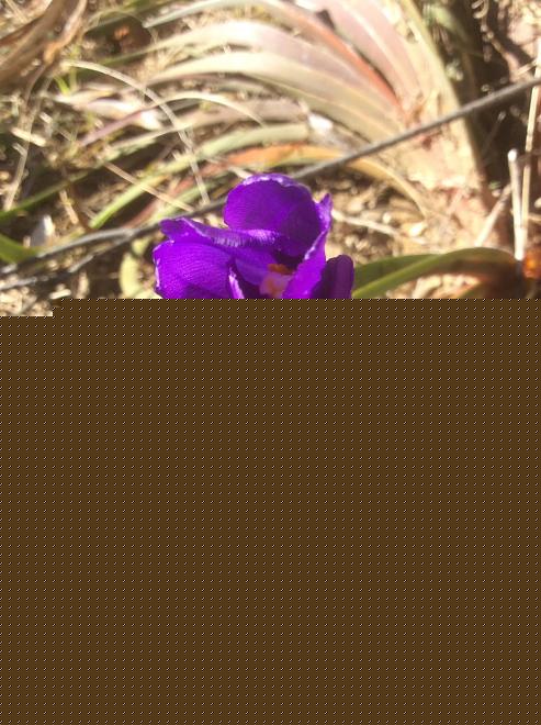 Click image for larger version  Name:	B655F022-4DE9-4734-AB89-3B5F08B6C4D7.jpeg Views:	0 Size:	184.5 KB ID:	22519