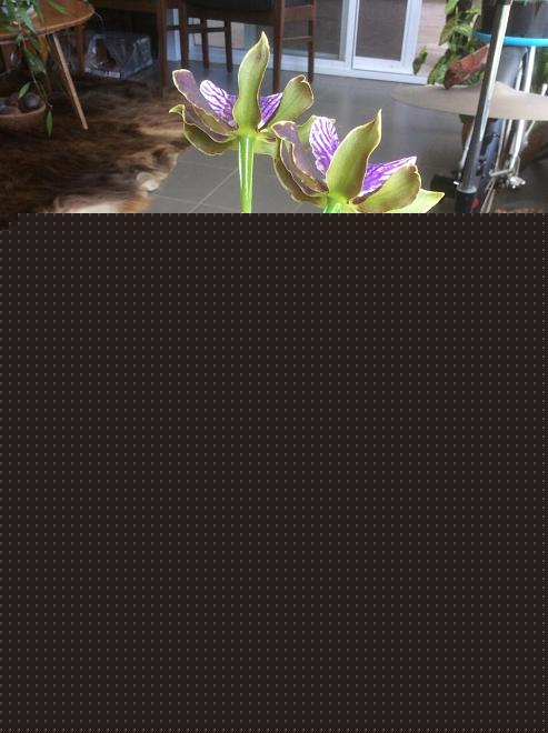 Click image for larger version  Name:	813A1565-0FF7-400E-964F-5D74E2E435D1.jpeg Views:	0 Size:	145.3 KB ID:	22581