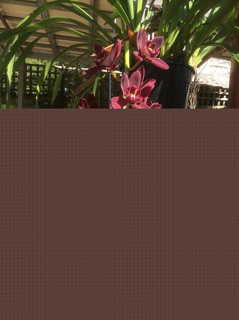 Click image for larger version  Name:	207F9213-8D8A-400C-9ACF-043BF605BC60.jpeg Views:	0 Size:	241.4 KB ID:	22732