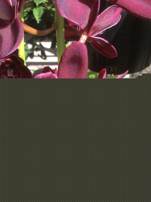 Click image for larger version  Name:	B1EBB197-D932-40E3-A2C8-ECAF596BB0AD.jpeg Views:	0 Size:	193.3 KB ID:	22733