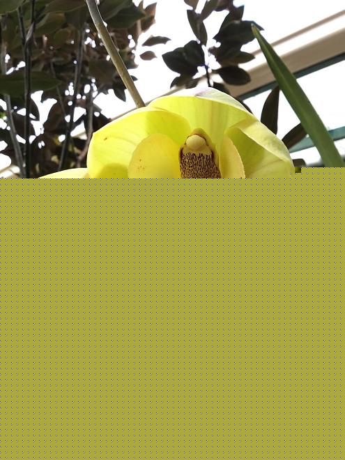 Click image for larger version  Name:	6FCD7866-F035-462E-A3D0-B98687AFCE33.jpeg Views:	0 Size:	156.6 KB ID:	22742