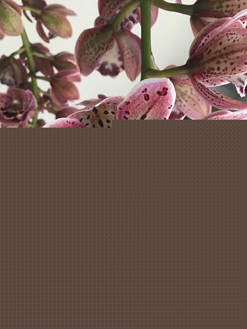 Click image for larger version  Name:	AC5D9CAE-652B-4B36-AEFD-BF160CB46B22.jpeg Views:	0 Size:	164.5 KB ID:	22817