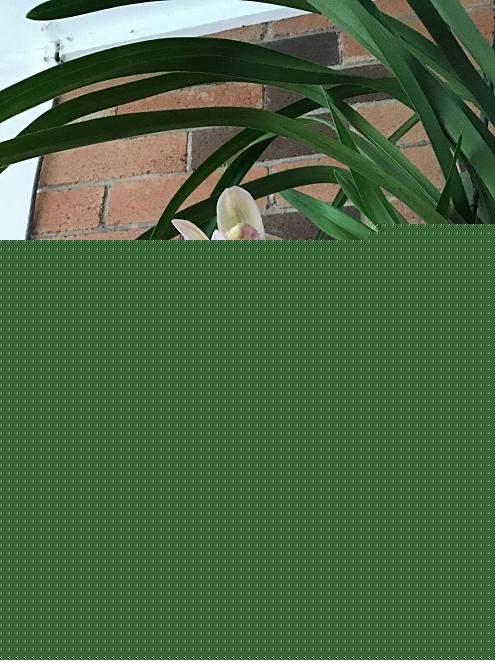 Click image for larger version  Name:	FB103E2C-AF40-4ED9-BB4A-DEF52FAE0132.jpeg Views:	0 Size:	211.3 KB ID:	22819