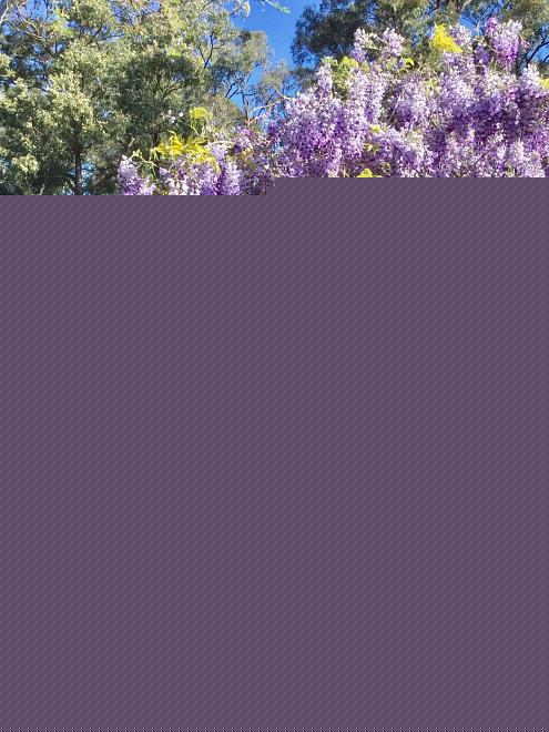 Click image for larger version

Name:	4F962C60-E4F9-452F-9D5D-6A801C8493BD.jpeg
Views:	205
Size:	435.9 KB
ID:	22826