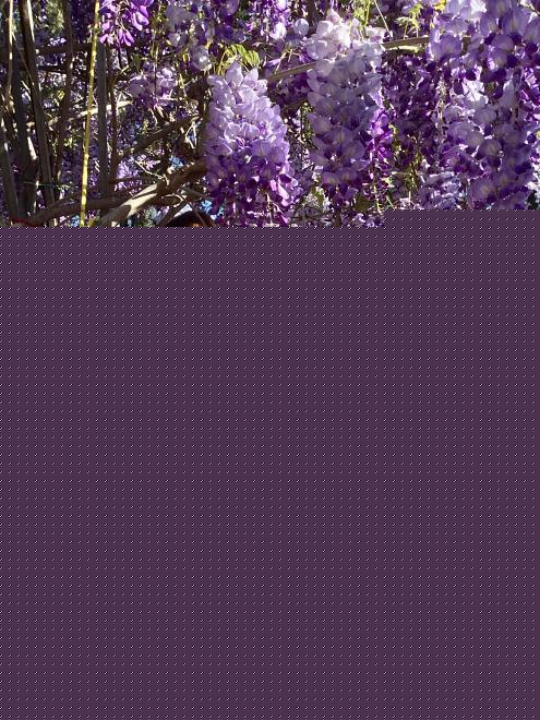 Click image for larger version

Name:	2925A048-0D4D-4A14-B927-AA53230FE715.jpeg
Views:	195
Size:	398.2 KB
ID:	22828