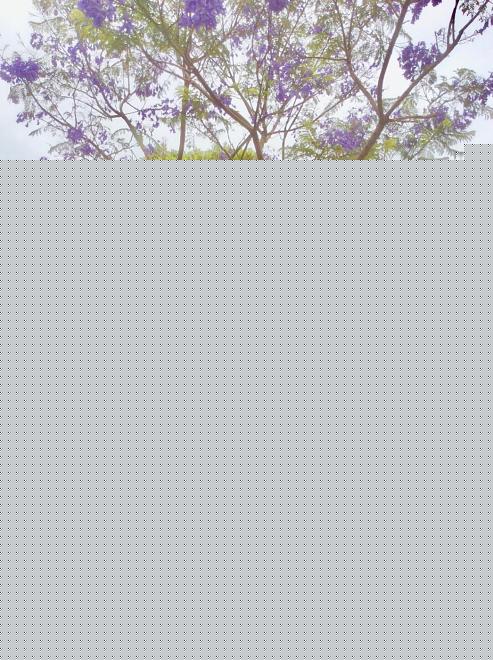 Click image for larger version  Name:	FB2351EE-9E04-4055-BE01-F33E0B1D0E29.jpeg Views:	0 Size:	283.6 KB ID:	22843