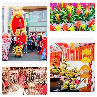 Click image for larger version

Name:	IMG_6948.JPG
Views:	136
Size:	209.6 KB
ID:	23748