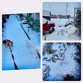Click image for larger version

Name:	IMG_7027.jpg
Views:	343
Size:	326.6 KB
ID:	23857