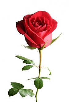 Click image for larger version

Name:	3e047faf3d562b1fcdc2dc7154705373.jpg
Views:	182
Size:	22.4 KB
ID:	23921