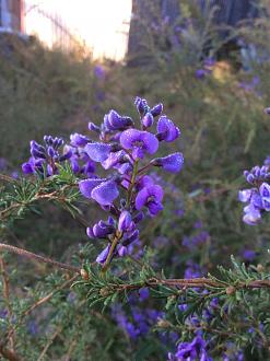 Click image for larger version

Name:	IMG_0878.JPG
Views:	242
Size:	162.0 KB
ID:	24026