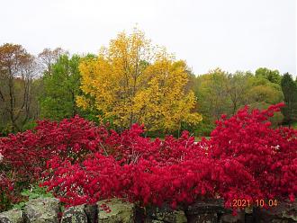 Click image for larger version  Name:	DSC02678.jpg Views:	198 Size:	452.9 KB ID:	25635