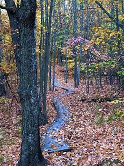 Click image for larger version  Name:	IMG_6121.jpg Views:	196 Size:	462.5 KB ID:	25658