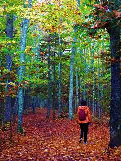 Click image for larger version

Name:	DSC02967.jpg
Views:	265
Size:	427.9 KB
ID:	25671