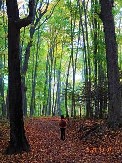 Click image for larger version  Name:	DSC02961.jpg Views:	171 Size:	362.2 KB ID:	25758