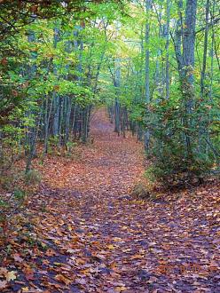 Click image for larger version  Name:	DSC02962.jpg Views:	168 Size:	425.6 KB ID:	25748