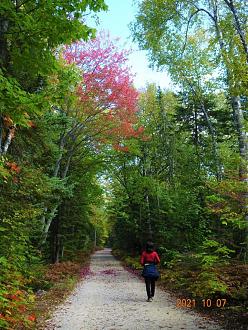 Click image for larger version  Name:	DSC03004.jpg Views:	178 Size:	412.3 KB ID:	25759