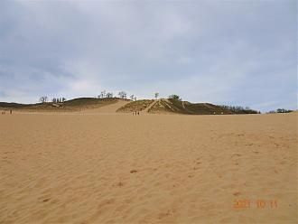 Click image for larger version  Name:	DSC03206.jpg Views:	0 Size:	161.0 KB ID:	25860