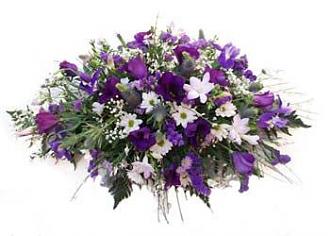 Click image for larger version  Name:	058fa07b2c9472f76a5abadff77e7806.jpg Views:	0 Size:	29.0 KB ID:	25888