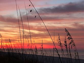 Click image for larger version  Name:	IMG_8820.jpg Views:	281 Size:	161.3 KB ID:	26093