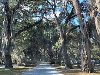 Click image for larger version

Name:	IMG_9070.JPEG
Views:	198
Size:	908.3 KB
ID:	26285