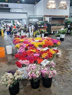 Click image for larger version  Name:	081342S.jpg Views:	0 Size:	357.5 KB ID:	26526