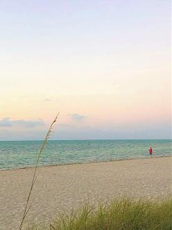 Click image for larger version  Name:	IMG_1581.jpg Views:	0 Size:	72.2 KB ID:	26617