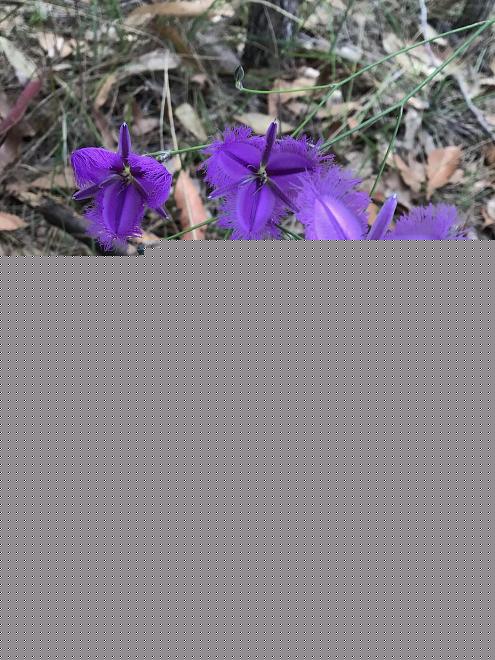 Click image for larger version  Name:	image_4578.jpg Views:	3 Size:	227.4 KB ID:	27015