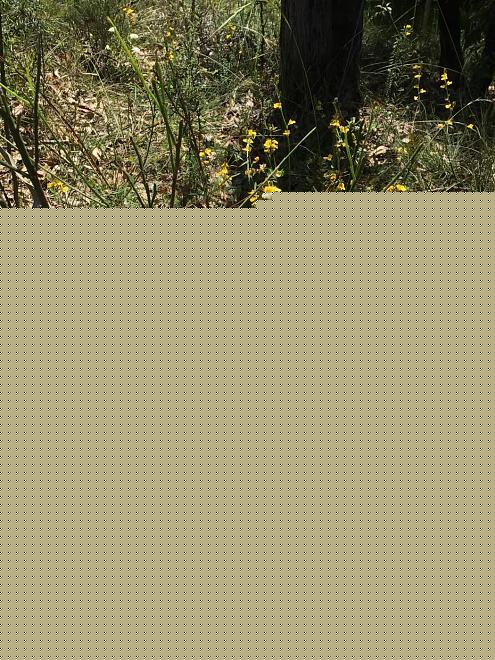 Click image for larger version  Name:	22C7D1BE-45F9-46E5-B249-33F05D32C42B.jpeg Views:	0 Size:	492.9 KB ID:	27019