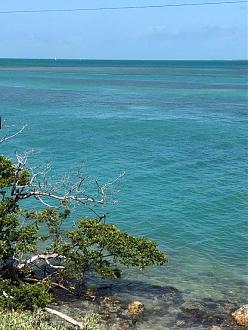 Click image for larger version  Name:	IMG_1493.jpg Views:	44 Size:	152.9 KB ID:	27080