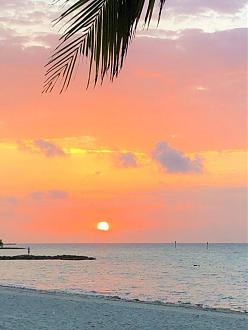 Click image for larger version  Name:	IMG_1705.jpg Views:	43 Size:	82.9 KB ID:	27084