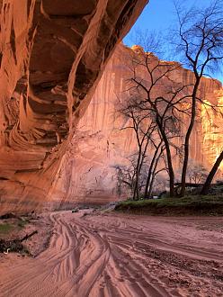 Click image for larger version  Name:	IMG_3069.JPEG Views:	56 Size:	226.7 KB ID:	27115