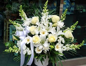 Click image for larger version

Name:	flower-pu.jpg
Views:	153
Size:	307.8 KB
ID:	27912