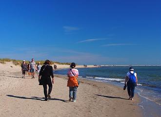 Click image for larger version

Name:	P1010224.jpg
Views:	216
Size:	128.7 KB
ID:	28141