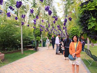 Click image for larger version

Name:	P1011314.jpg
Views:	209
Size:	379.3 KB
ID:	28159
