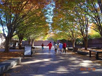 Click image for larger version

Name:	DSC03858.jpg
Views:	143
Size:	380.3 KB
ID:	28647