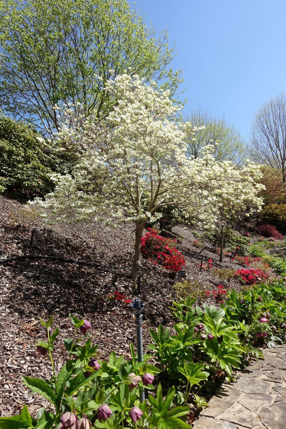 Click image for larger version

Name:	DSC06465s.JPG
Views:	87
Size:	404.2 KB
ID:	28702