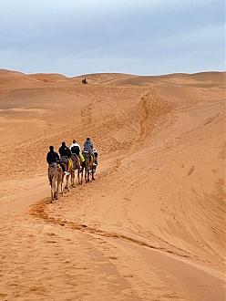 Click image for larger version  Name:	IMG_2688.jpg Views:	89 Size:	104.4 KB ID:	28935