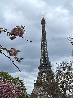 Click image for larger version  Name:	IMG_3245.jpg Views:	36 Size:	197.8 KB ID:	29050